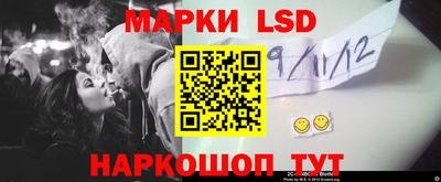твердый Кингисепп