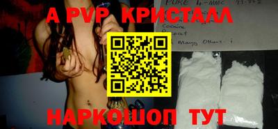 твердый Кингисепп
