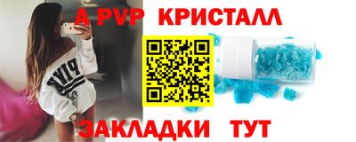 твердый Кингисепп