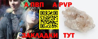 твердый Кингисепп